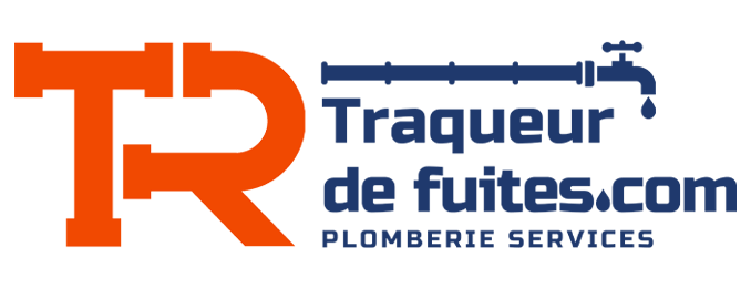 TF_logo_bleu